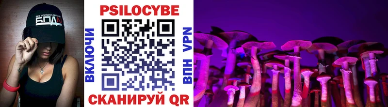 Купить  Горно-Алтайск  Галлюциногенные грибы прущие грибы 